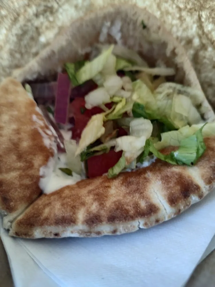 Gyro with Fries